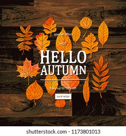 Hello Autumn Vector illustration. Fall sales season. Thanksgiving Holiday decoration. Autumn leaves, lettering on wooden texture. Autumn Sale wood background. Sale shop banner.