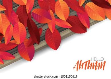 Hello autumn vector illustration. Fall background concept for advertisement, invitation, promotion, offer, discount. Seasonal design.