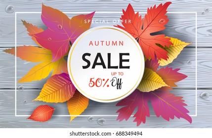 Hello Autumn Vector illustration. Fall sales season. Thanksgiving Holiday decoration. Maple tree leaves, lettering, water drops on grey wooden texture. Abstract Autumn Sale wood background Sale banner