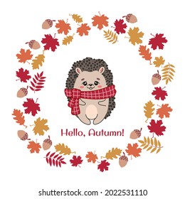 Hello Autumn. Vector illustration with a funny hedgehog in a cartoon style for the design of an autumn greeting card. Autumn vector elements: hedgehog, maple and oak leaves, acorns