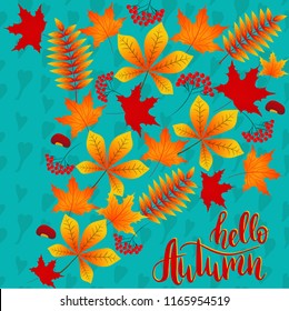 Hello autumn vector illustration. Hand drawn lettering inscription on autumn background with color fallen leaves. Chestnut, maple, rowan leaves background. Template for cards, banners. Welcome autumn.