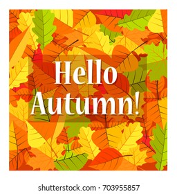 Hello autumn vector illustration on the background of leaves.