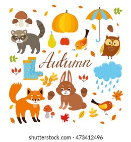 Hello, Autumn. vector set, forest animals. fox, raccoon, rabbit, owl, bird. defoliation and harvest, pumpkin, pear, apple, acorns, mushrooms, berries. bad weather, clothing for rain