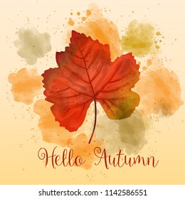 "Hello Autumn", autumn watercolor background with beautiful leaf. Vector
