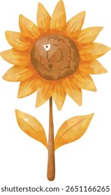 Hello Autumn Watercolor Clipart Set com folhas, abóbora, café e cachecol