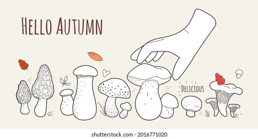 Hello Autumn,fall mood.Black and white illustration of Bolete, Morel,  Champignon, Chanterelle,King Trumpet,Oyster,Chanterelle,Shiitake mushrooms and hand.Vector flat illustration.