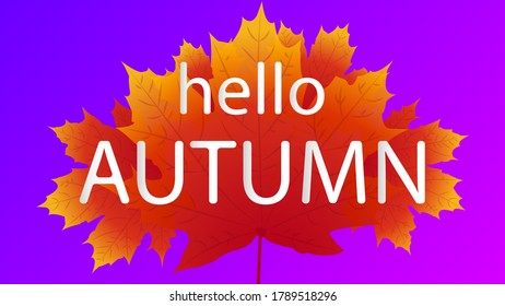  Hello Autumn.Leaves On Purple Background.