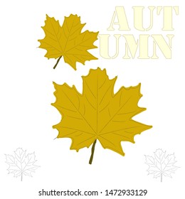 Hello Autumn.Natural scene with leafs.Season.Yellow leafs.