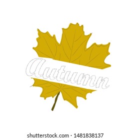 Hello Autumn.Nature scene with big yellof leaf.Season.