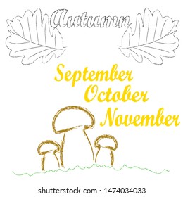 Hello Autumn.Nature scene with mushrooms and leafs in the forest.Season.