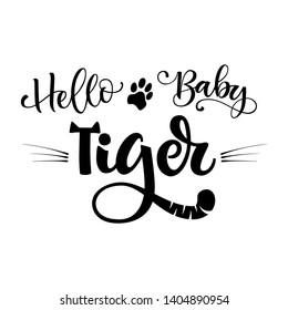 Hello Baby Tiger phrase. Hand drawn calligraphy and script style baby shower lettering quote. Simple isolated text with minimalistic decor. Print, invitation, card, poster design element.