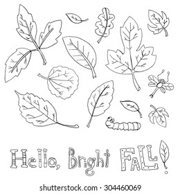 Hello, bright fall! Vector black and white set of maple, aspen, oak, elm leaf, dragonfly, caterpillar, worm, cute and bright.