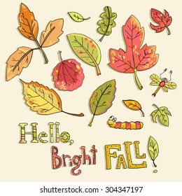 Hello, bright fall! Vector hand drawn doodle collection of maple, aspen, oak, elm leaf, dragonfly, caterpillar, worm, cute and bright