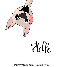 Hello card with funny dog. Vector illustration.