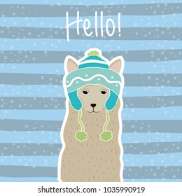 Hello cat cartoon