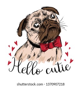 Hello cutie. Print for t shirt. Vector hand drawn puppy Pug with a red bow. 