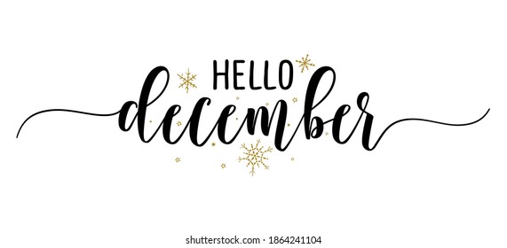 Hello December - Inspirational Christmas beautiful handwritten quote, gift tag, lettering message. Hand drawn winter, december phrase. Handwritten modern brush calligraphy for Xmas. Mug subtitles.