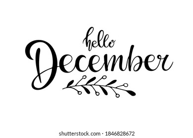 Hello December lettering with winter branch. Black and white hand drawn illustration. Christmas celebration. Handwritten Hello December text for invitation, poster, greeting card Season Greeting