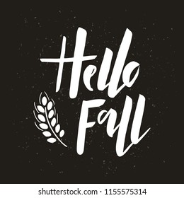 Hello Fall - brush hand lettering with wheat. Harvest poster design. Autumn template. For banner, print, photo overlays, poster, card. Vector illustration on black grunge background.