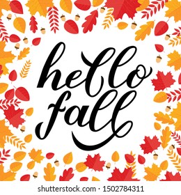 Hello fall calligraphy hand lettering in frame of leaves and acorns. Autumn seasonal inspirational quote typography poster. Easy to edit vector template for banner, flyer, sticker, postcard, etc.