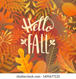 Hello fall greeting banner on jungle background with tropical leaves. Welcome autumn banner. Invitation to new harvest season. Template for poster design, prints, flyers. Vector illustration.