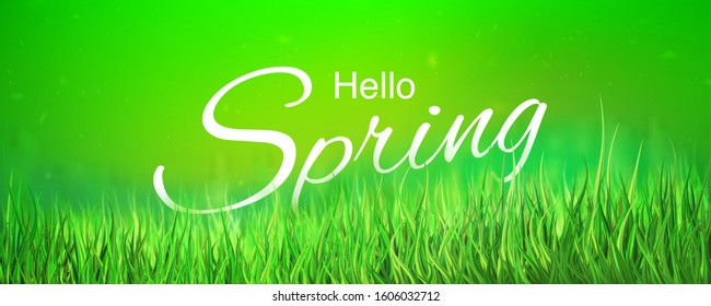 Hello green spring sale background stock vector illustration. Realistic grass blurred defocused backdrop. Macro lawn. Green bokeh. Templates for placards, banners, flyers, presentations, reports EPS10