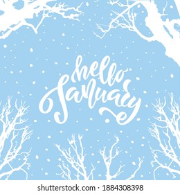 Hola enero texto manuscrito. Grabación manual, caligrafía de pincel. Ilustración vectorial de siluetas de árbol blanco y copos de nieve sobre fondo azul claro. Diseño para tarjeta de saludo, invitación, afiche