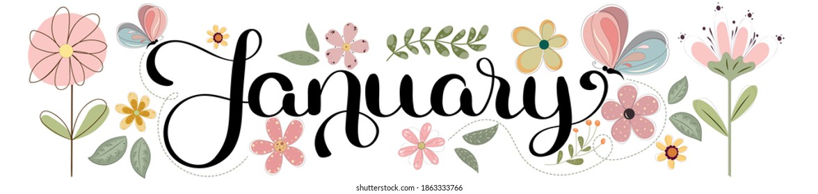 Hello JANUARY. January month vector with flowers, butterfly and leaves. Decoration text floral. Hand drawn lettering. Illustration January