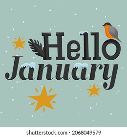 Hello january phrase, vector text on winter background, bullfinch, snow on letters and stars