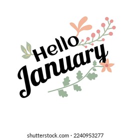 Hello JANUARY.  January vector with flowers, Floral text decoration.  Handwriting.  January illustration