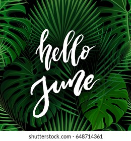 Hello June brush lettering. Vocation cards, banners, posters design. Green palm tropical leaves background. Handwritten modern brush pen calligraphy. Vector illustration stock vector.