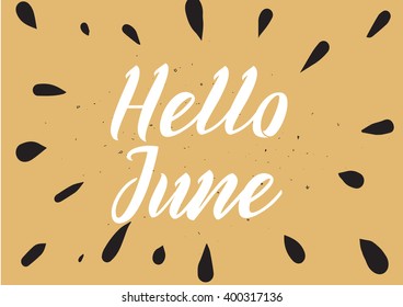 Hello June inscription. Greeting card with calligraphy. Hand drawn lettering design. Photo overlay. Typography for banner, poster or apparel design. Vector quote.