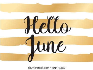 Hello June inscription. Greeting card with calligraphy. Hand drawn lettering design. Photo overlay. Typography for banner, poster or apparel design. Vector quote.