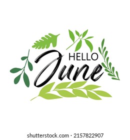 Hello June with leaves. JUNE month vector. Illustration month June. Hello June vector template. Design for banner, greeting cards or print.