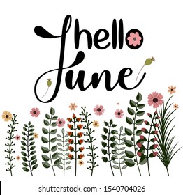  Hello June month vector with flowers and leaves. Decoration floral. Illustration month June