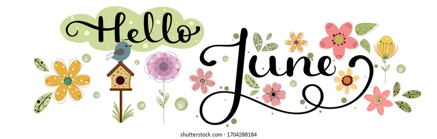 Hello June. JUNE month vector with flowers, bird and leaves. Decoration floral. Illustration month June