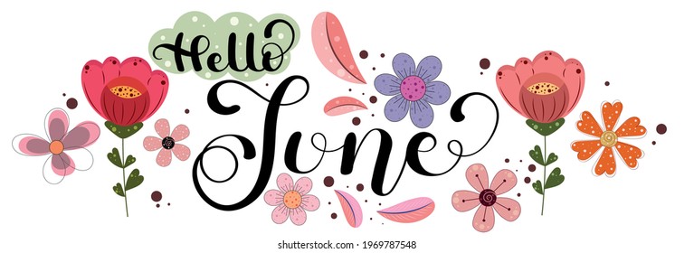 Hello June. JUNE month vector with flowers and leaves. Decoration floral. Illustration month June
