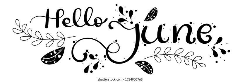 Hello June. JUNE month vector with ornaments and leaves. Decoration floral. Illustration month June