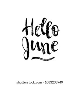 Hello June. Vector brush lettering. Black quote isolated on white background. Summer phrase in grunge style