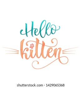 Hello kitten quote. Color baby shower hand drawn calligraphy style lettering phrase. Boho elements, whiskers decor. Boy, girl card, poster, print, stiker, shirt design.