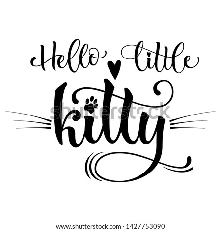 Hello little kitty quote. Baby shower hand drawn calligraphy style lettering phrase. Boho elements, whiskers, kitten foot print decor. Boy, girl card, poster, print, stiker, shirt design.