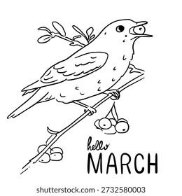 Hello March Decorative Lettering with Bird, Spring Nature Illustration
