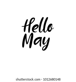 Hello May Calligraphy Inscription Spring Greeting Stock Vector Royalty Free