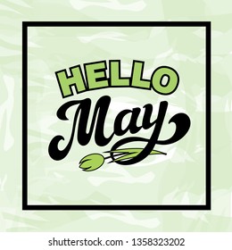 Hello May. Hand drawn lettering. Vector illustration