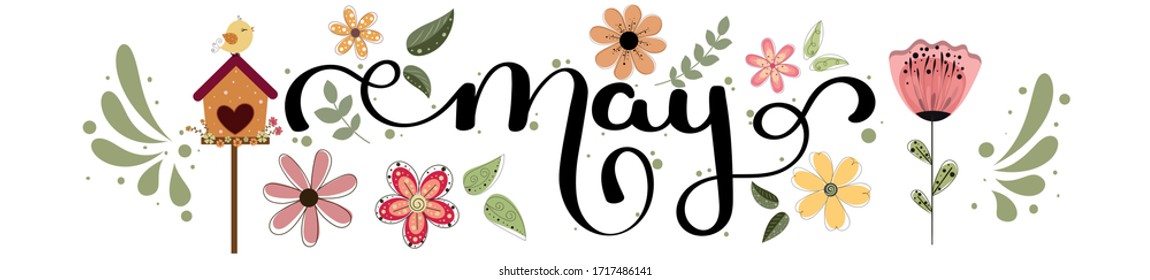 Hello May hand lettering card. MAY month vector with flowers and leaves. Decoration floral. Illustration month may background
