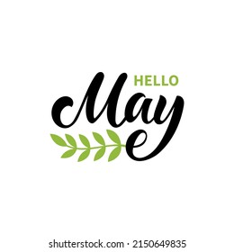 Hello May handwritten text isolated on white background with ribbon and leaves as logo, icon, card. Spring postcard, invitation, flyer. Vector illustration. Hand lettering, modern brush calligraphy