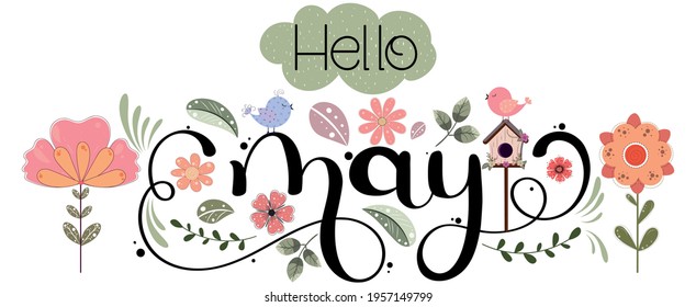 Hello  May. MAY month vector with flowers, birds and leaves. Decoration floral text hand lettering. Illustration month May