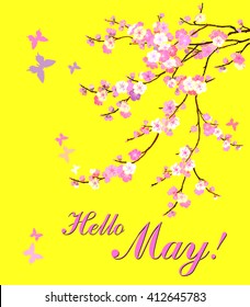 Hello May. Spring lettering. Celebration yellow background with blooming apple tree, butterfly and place for your text. Vector Illustration