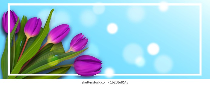 Hello May spring tulip banner. Cute bouquet colorful banner. Womans nice background.