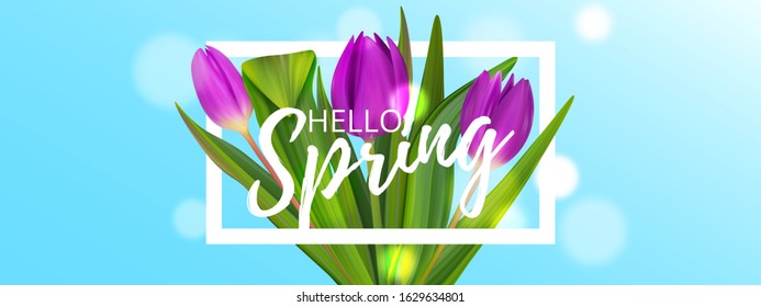 Hello May spring tulip banner. Cute bouquet colorful banner. Womans nice background.